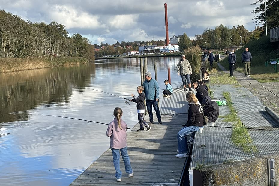 Skal efterårsferien gå i fisk? Med bid i Susåen midt i Næstved
